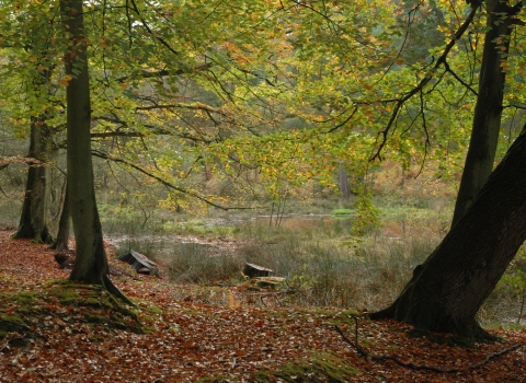 Things to Do in Donnington & Speen, Newbury 1 image